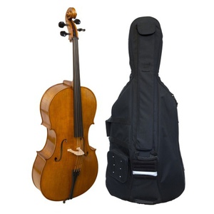 Mastri Cello Set Heinz Lehmann 1/2 with bag and bow